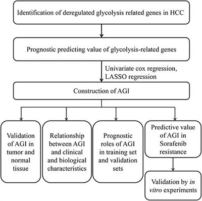 Development of an Aerobic Glycolysis Index for Predicting the Sorafenib Sensitivity and Prognosis of Hepatocellular Carcinoma